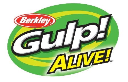 GULP ALIVE GULP ALIVE